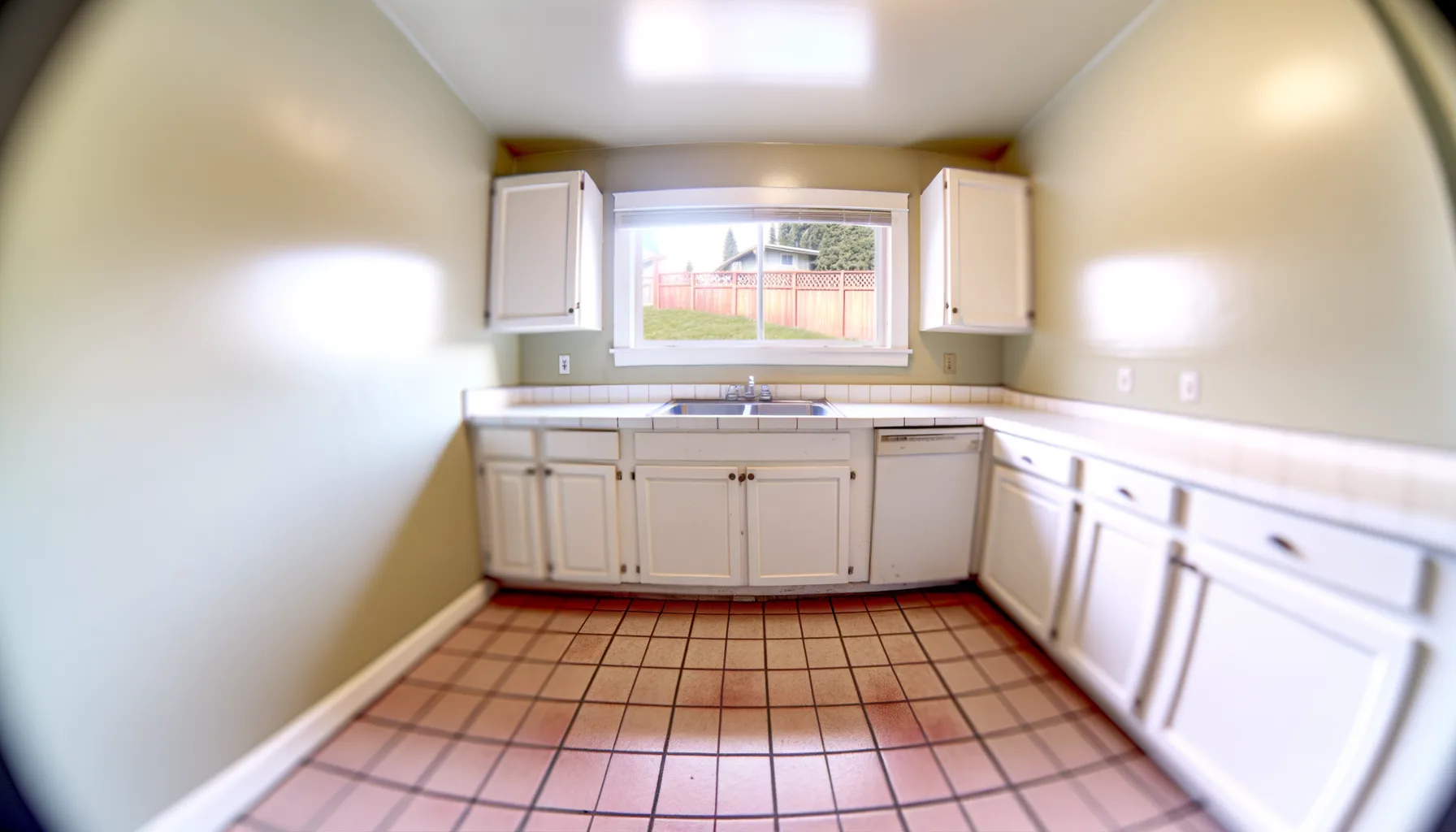 Mold Remediation - Project 3