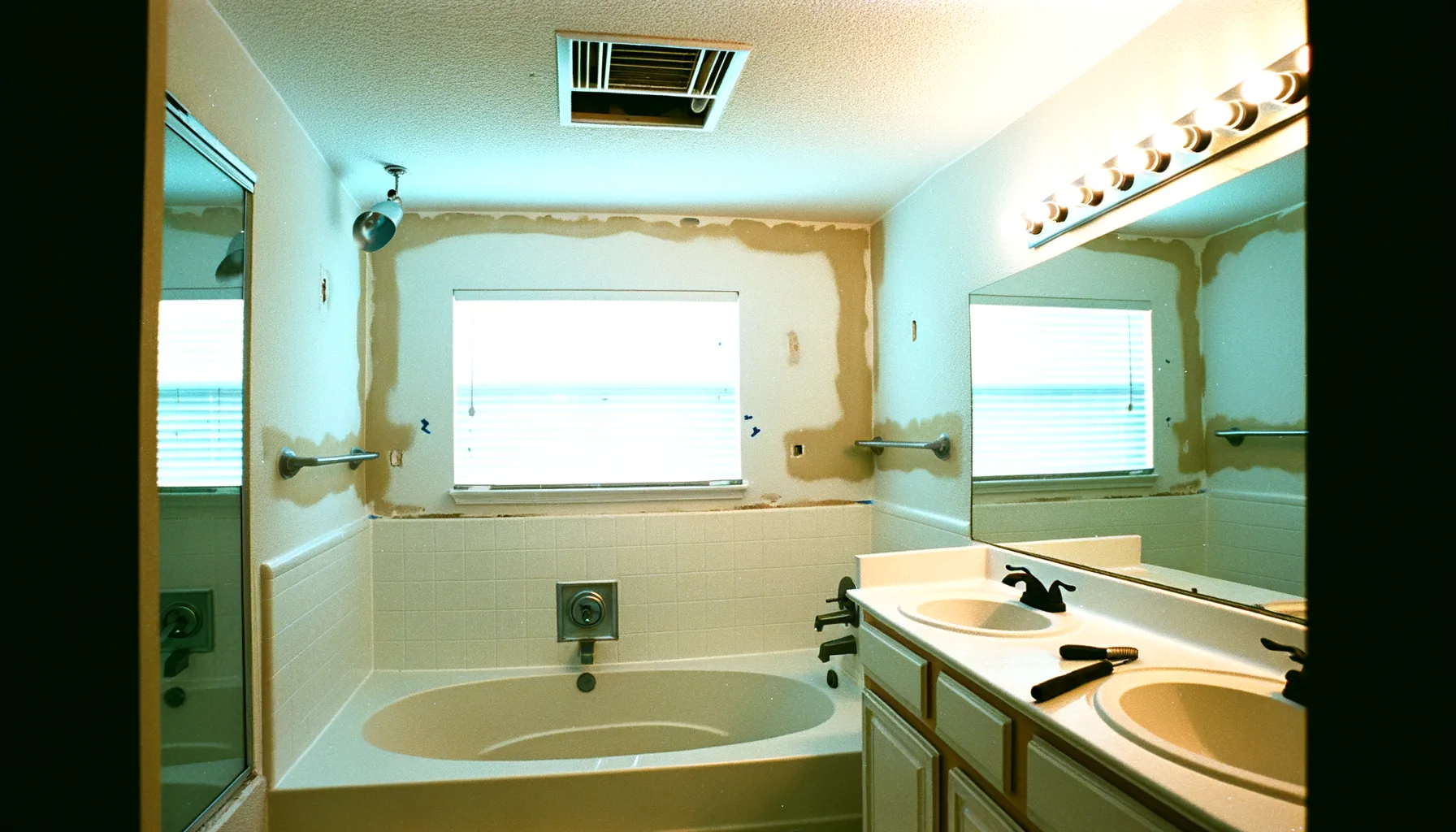 Mold Remediation - Project 4